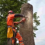 tree removal permit requirements in Pottstown, PA