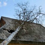 emergency tree removal service Lansdale PA