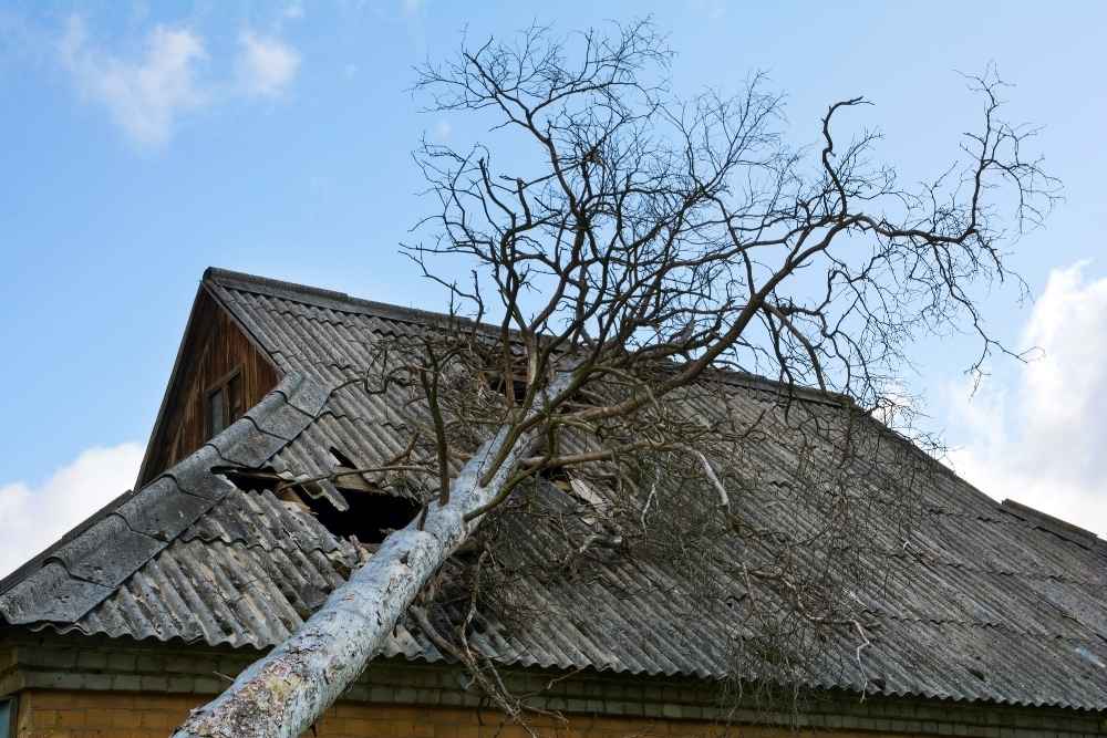 emergency tree removal service Lansdale PA